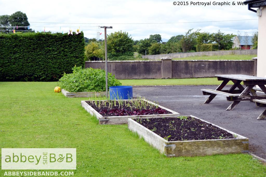 Abbeyside B&B Ballintober  Exterior photo
